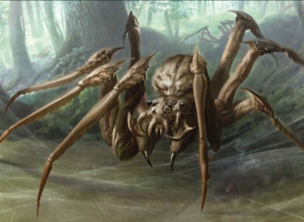 Twin-Silk Spider Crop image Wallpaper