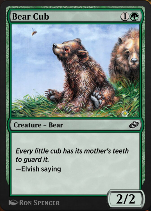 Bear Cub Full hd image