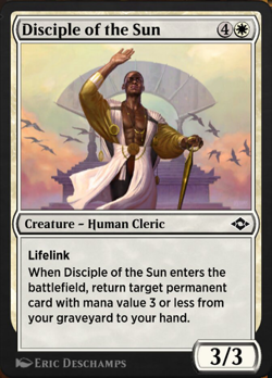 Disciple of the Sun image