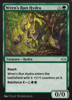 Hydra des Zaunkönigreviers