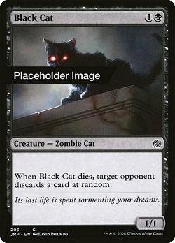 Черная Кошка
