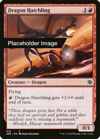 Dragon Hatchling image