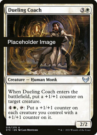 Dueling Coach image