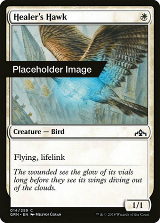 Healer's Hawk image