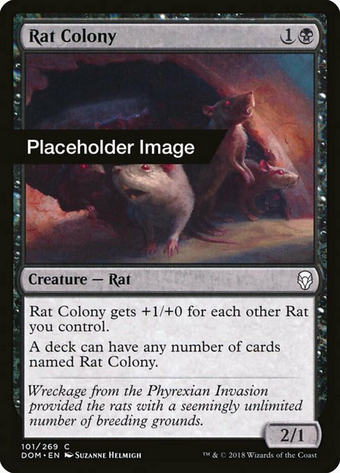 Rat Colony image