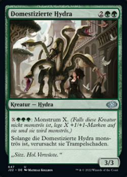 Domesticated Hydra image