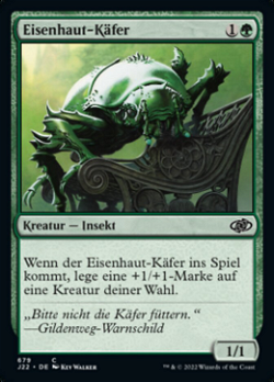 Eisenhaut-Käfer image