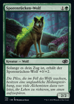 Sporenrücken-Wolf image