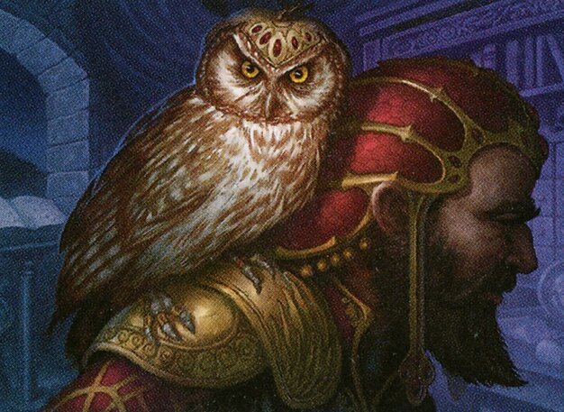 Augury Owl Crop image Wallpaper
