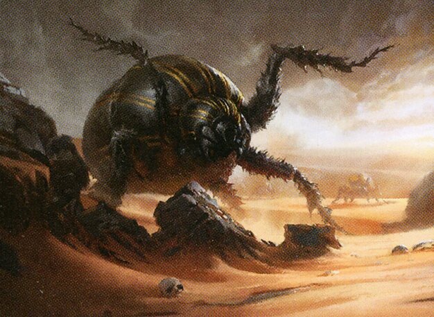 Dune Beetle Crop image Wallpaper