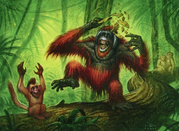 Uktabi Orangutan Crop image Wallpaper