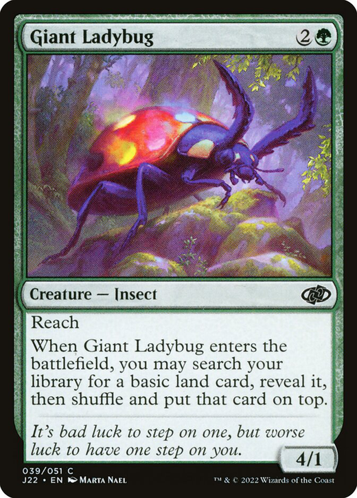 Giant Ladybug Full hd image