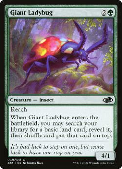Giant Ladybug image