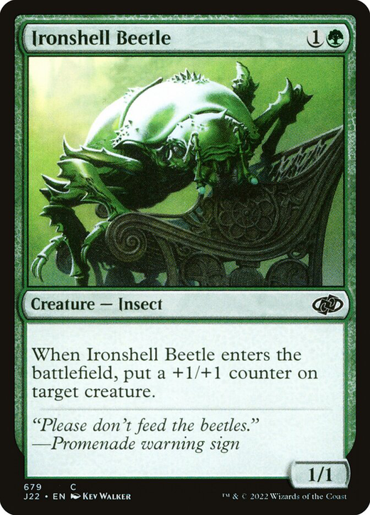 Ironshell Beetle Full hd image
