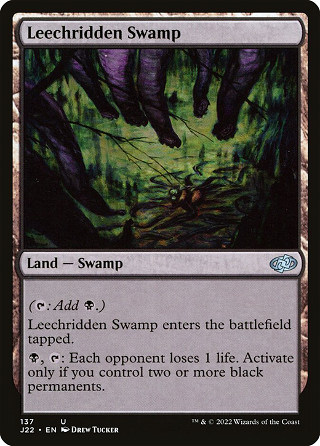 Leechridden Swamp image