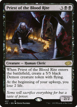 Priest of the Blood Rite image