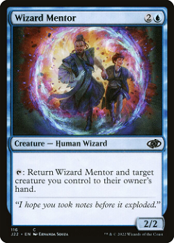 Wizard Mentor image