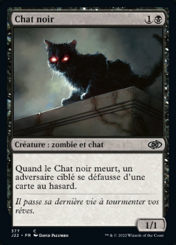 Chat noir image