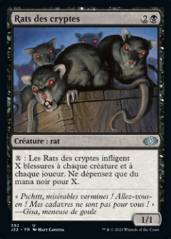 Rats des cryptes image