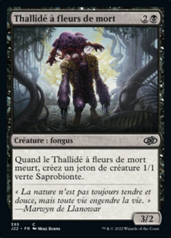 Thallidé à fleurs de mort