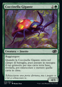 Coccinella Gigante image