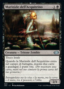 Marinide dell'Acquitrino