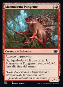 Marmosetta Pungente