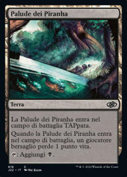 Palude dei Piranha image