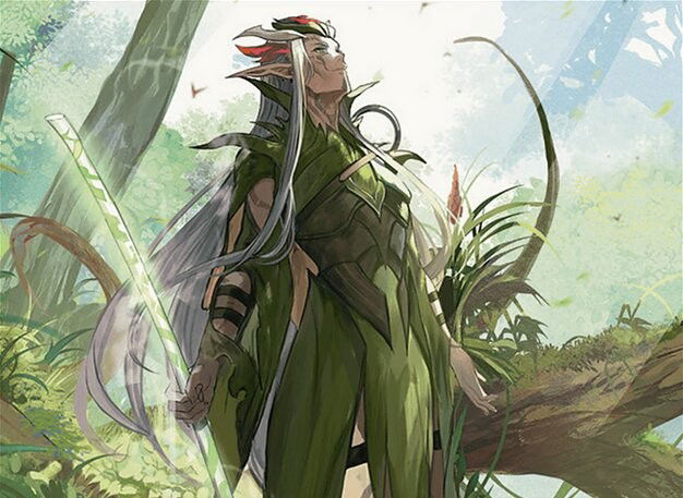 Dionus, Elvish Archdruid Crop image Wallpaper