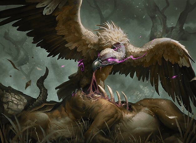 Gorging Vulture Crop image Wallpaper