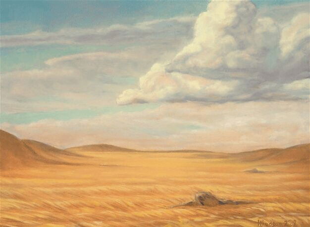 Secluded Steppe Crop image Wallpaper