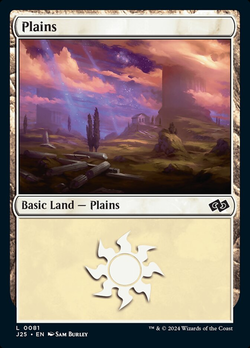 Plains image