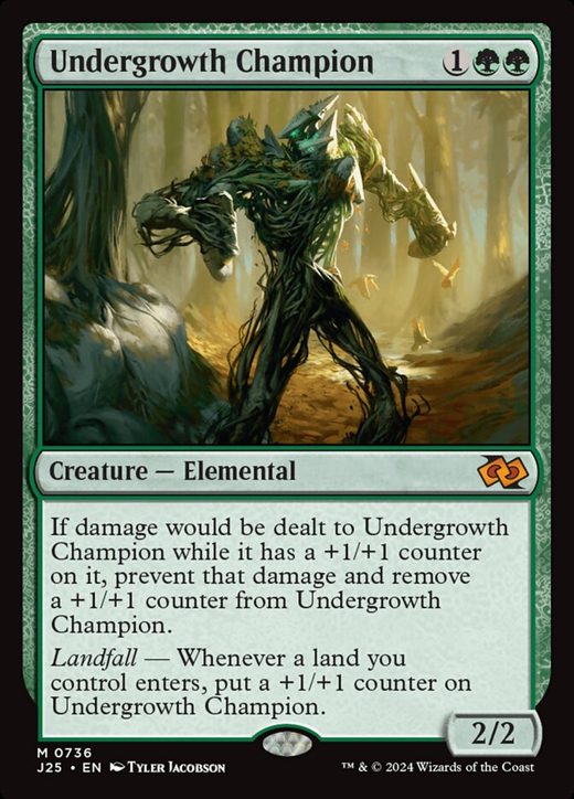 Undergrowth Champion Full hd image