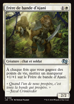 Frère de bande d'Ajani image