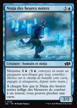 Ninja des heures noires