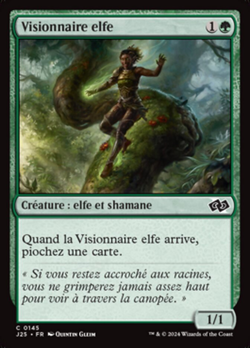 Visionnaire elfe image