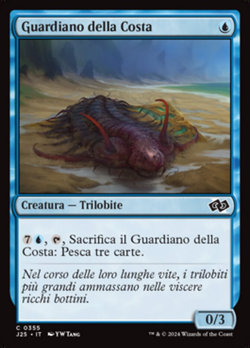 Guardiano della Costa image
