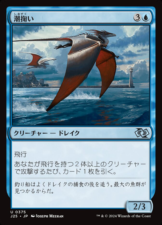 Tide Skimmer Full hd image