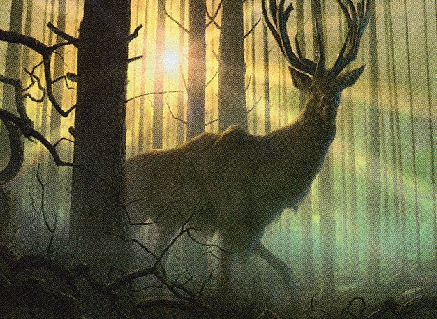 Dawntreader Elk Crop image Wallpaper