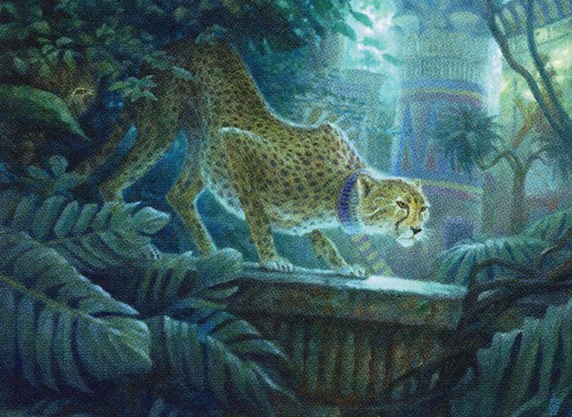 Pouncing Cheetah Crop image Wallpaper