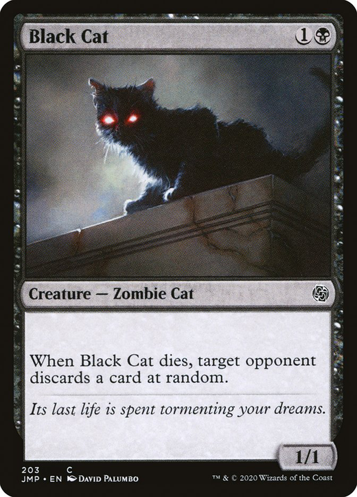 Gato negro image