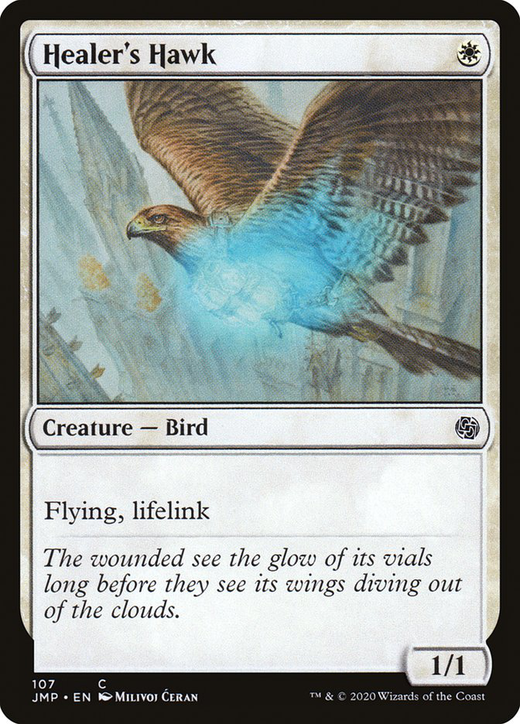 Healer's Hawk Full hd image