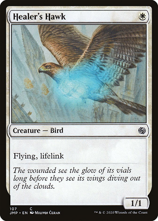 Healer's Hawk image