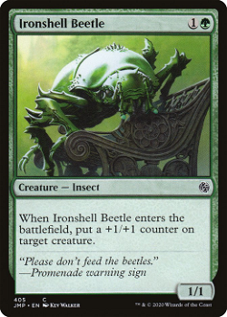 Ironshell Beetle image
