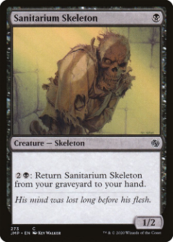 Sanitarium Skeleton image