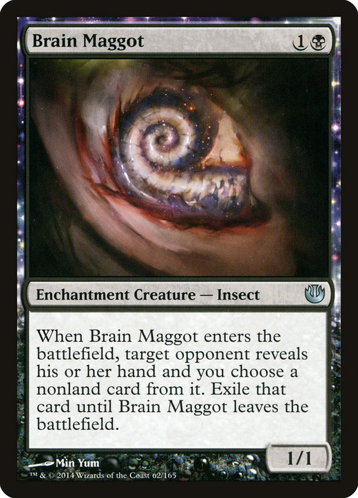 Brain Maggot image