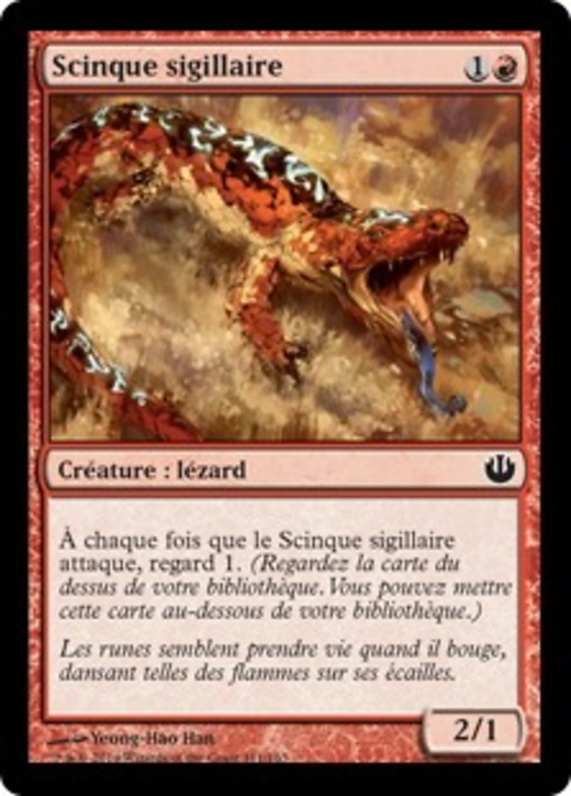 Sigiled Skink Full hd image