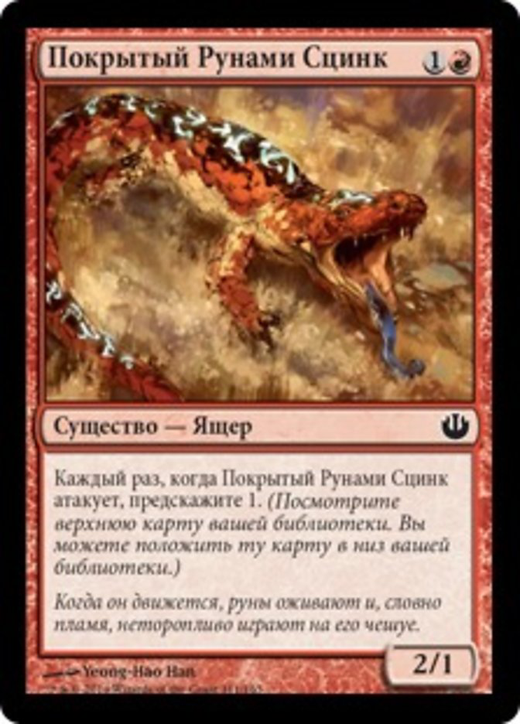 Sigiled Skink Full hd image