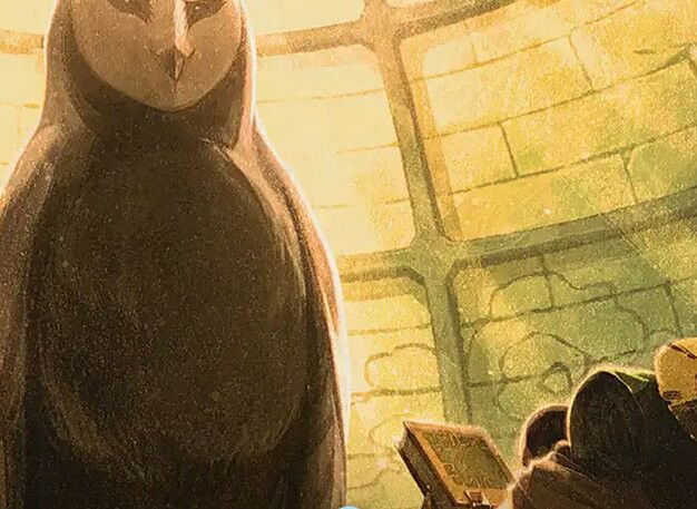 Lessons Art Series Crop image Wallpaper