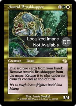 Anurid Brushhopper image